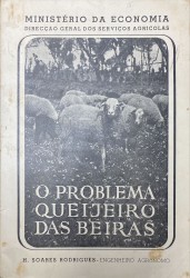 O PROBLEMA QUEIJEIRO DAS BEIRAS.
